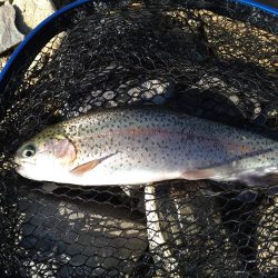 2ヶ月半ぶり釣行